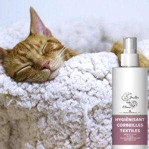 Spray Assainissant Multi-Surfaces